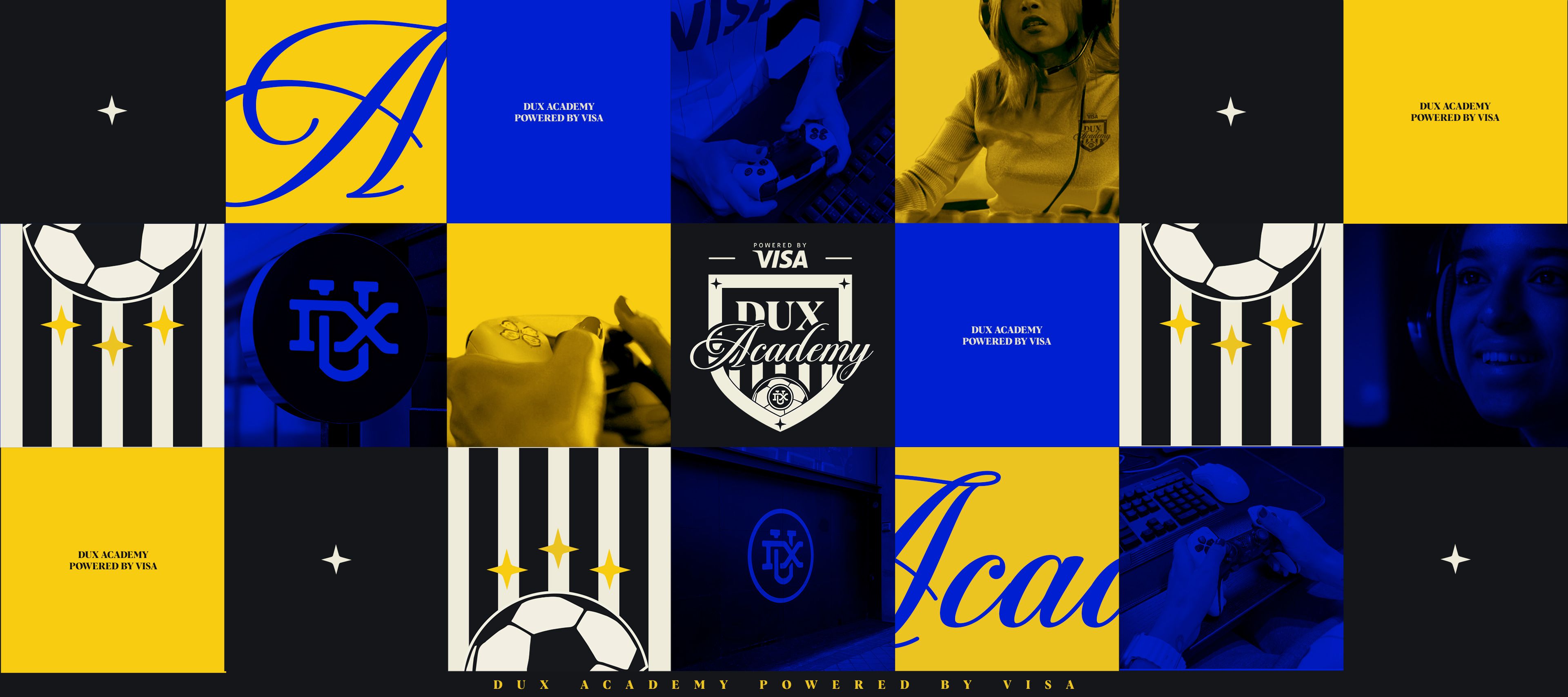 DUX Academy powered by VISA